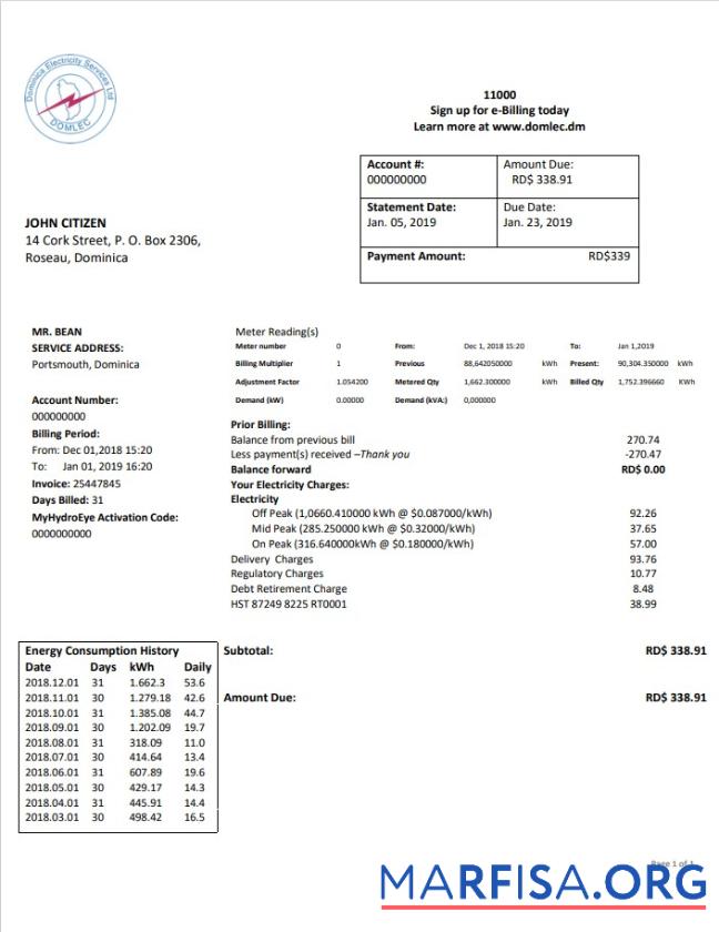 Realistic Dominica Electricity Services Limited electricity utility bill template in Word and PDF format